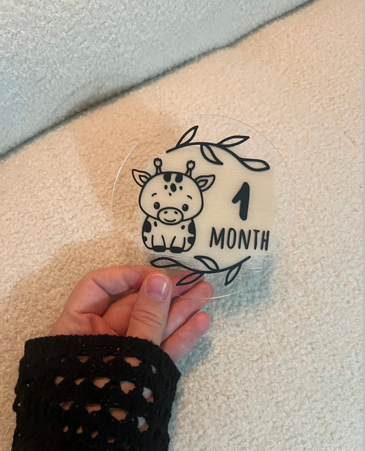 Meilensteine 13 Stück